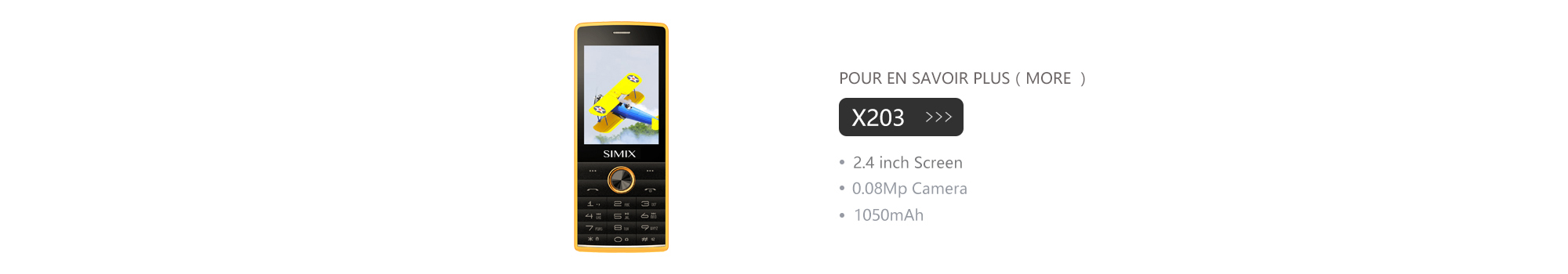 X203 Ordinateur portable