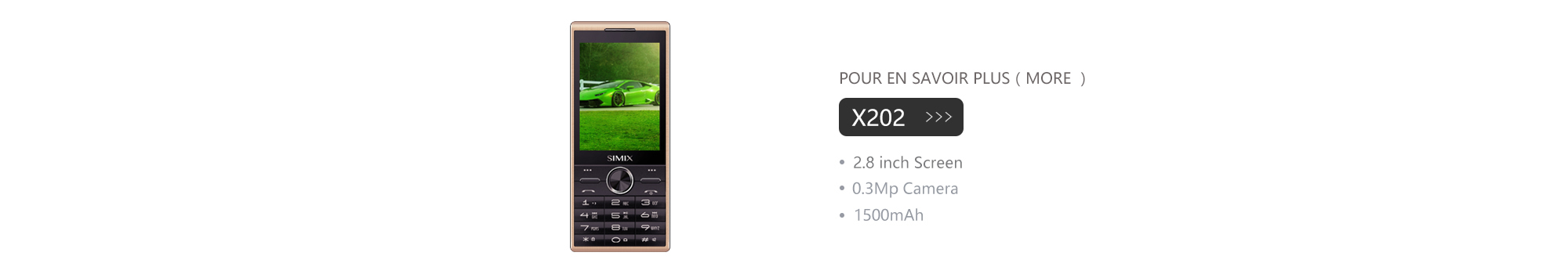 X202 Ordinateur portable