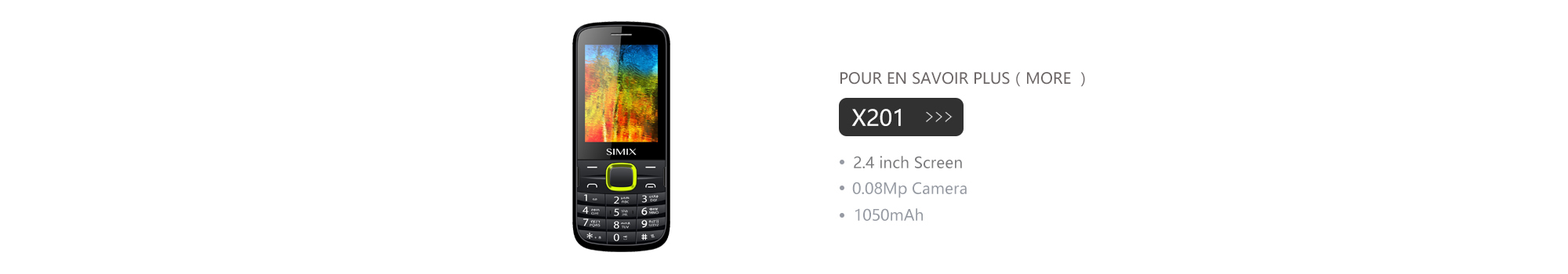 X201 Ordinateur portable